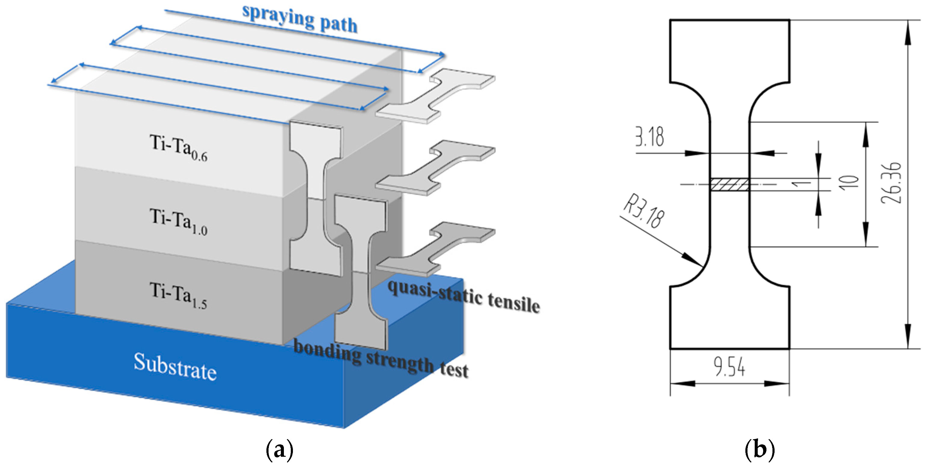 Coatings 14 00565 g002