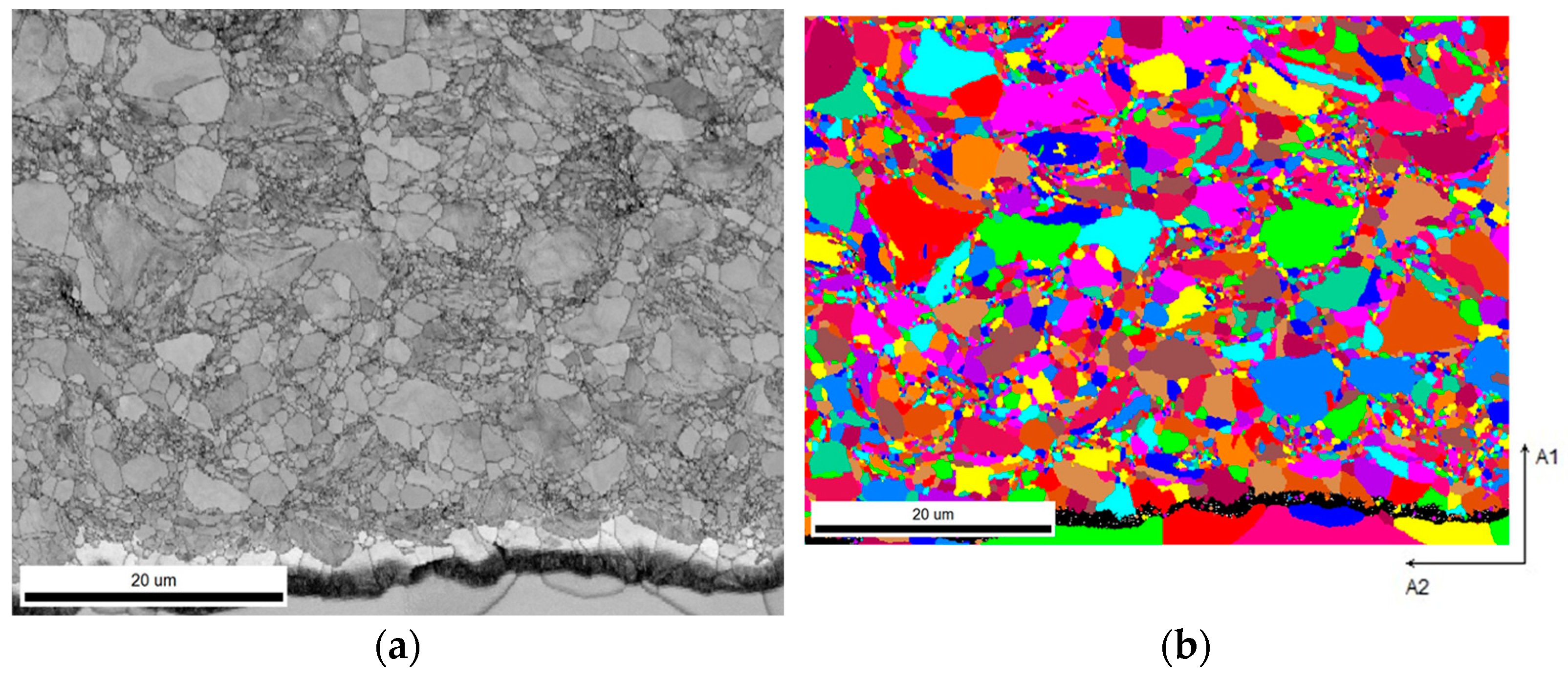 Coatings 14 00565 g007