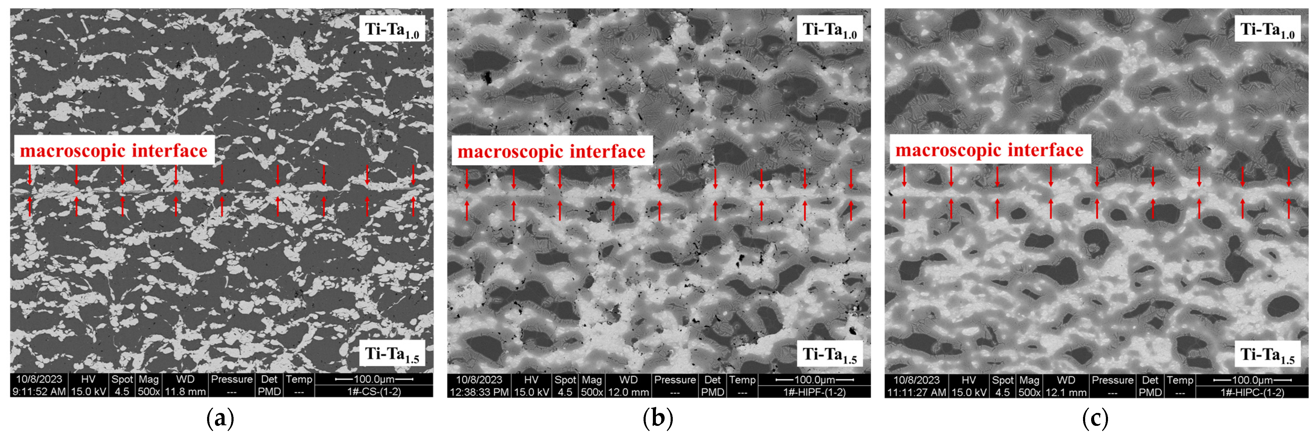 Coatings 14 00565 g008