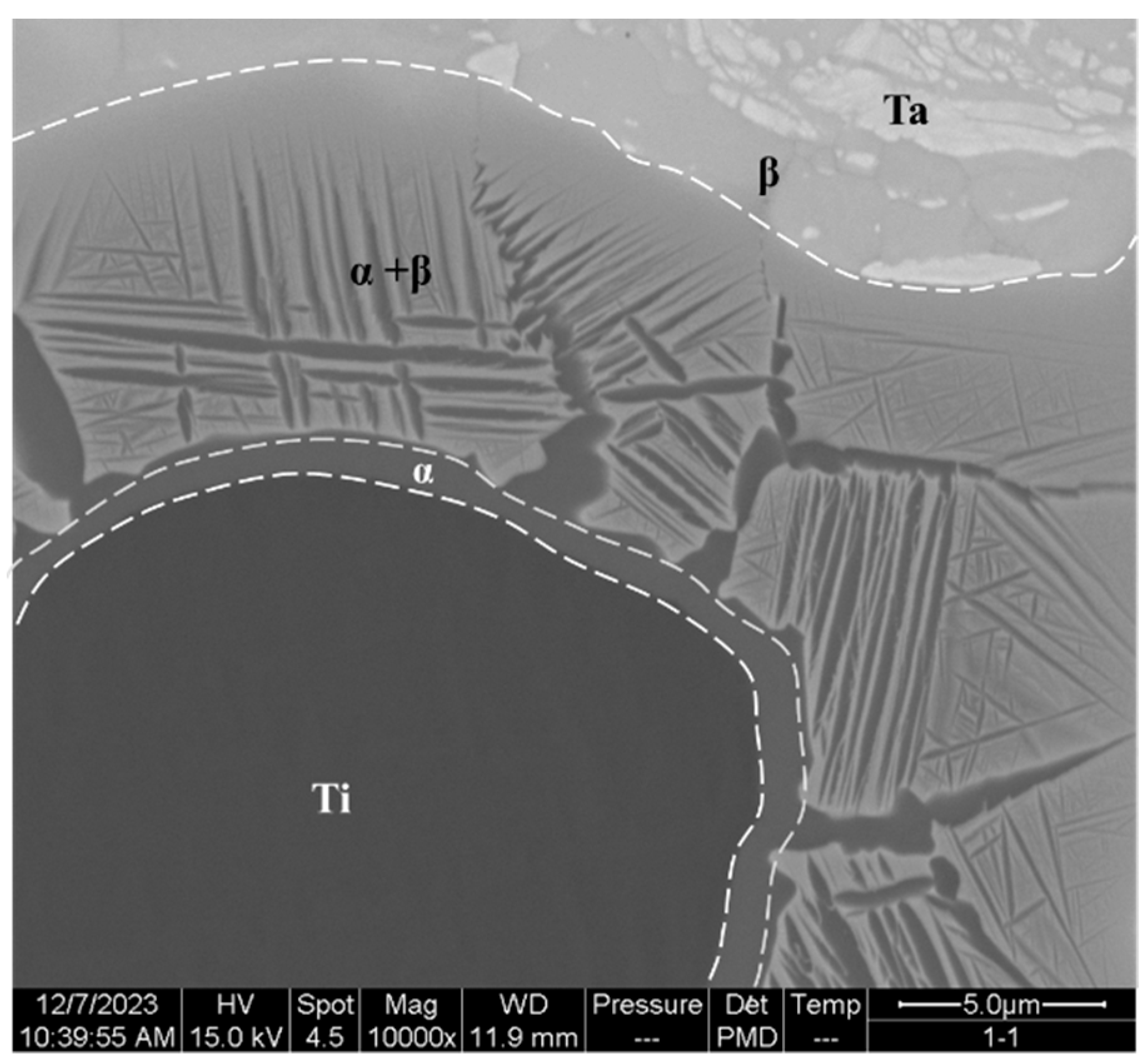 Coatings 14 00565 g009