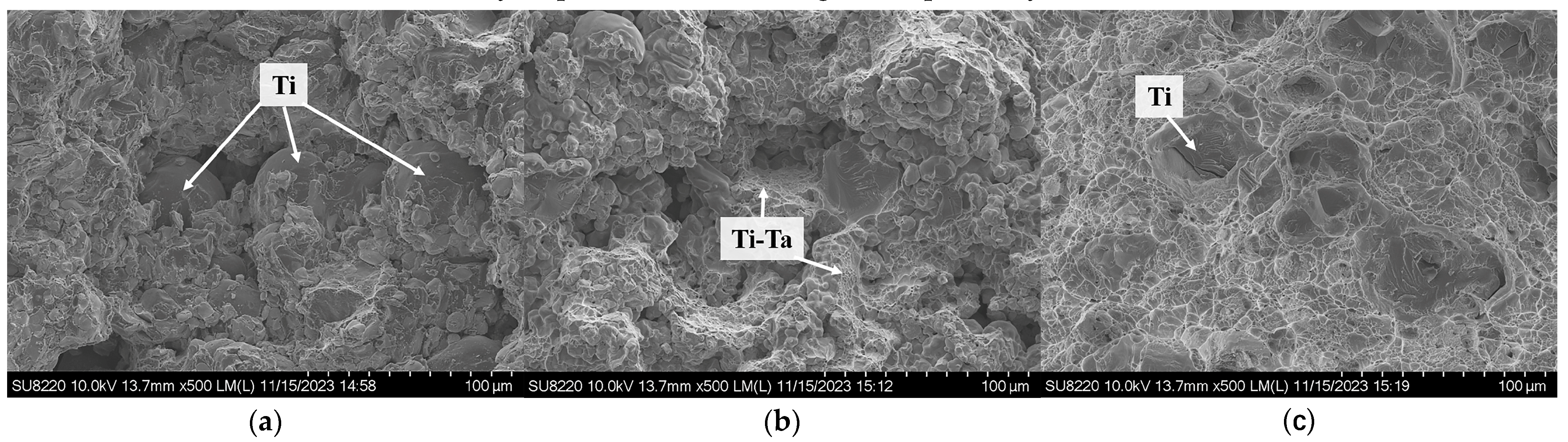Coatings 14 00565 g012