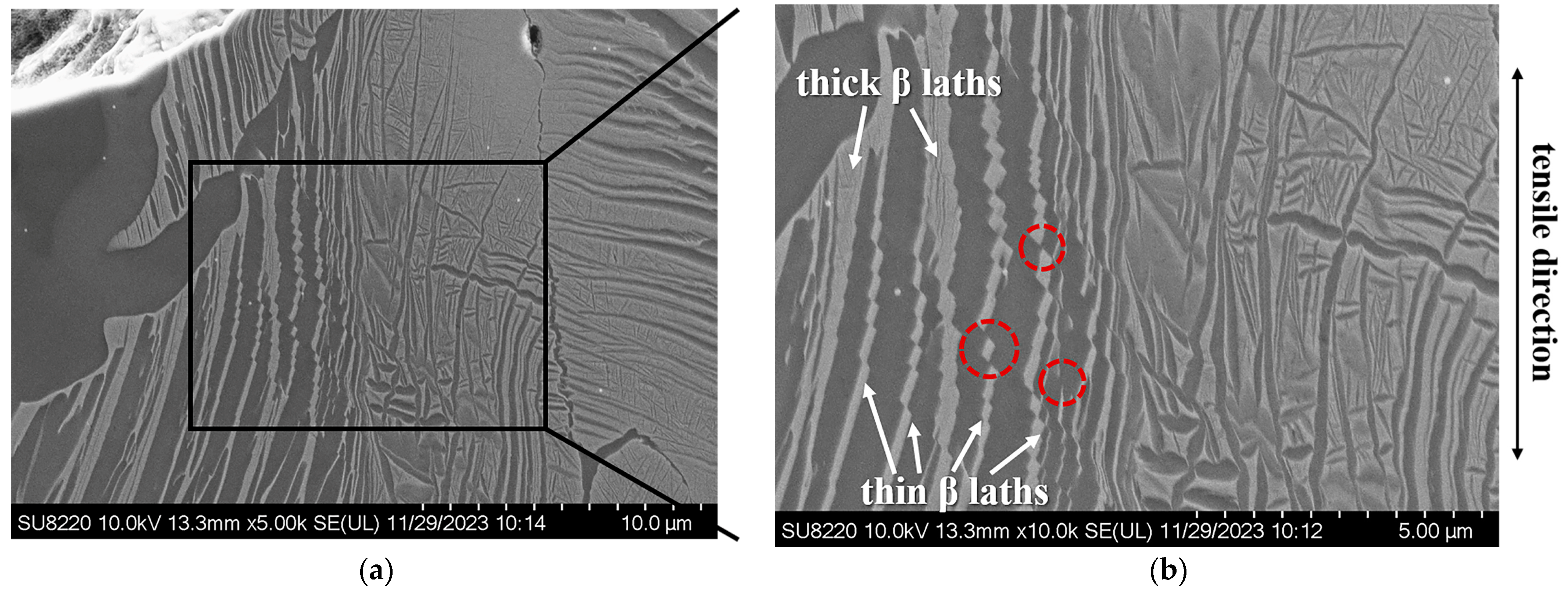 Coatings 14 00565 g013