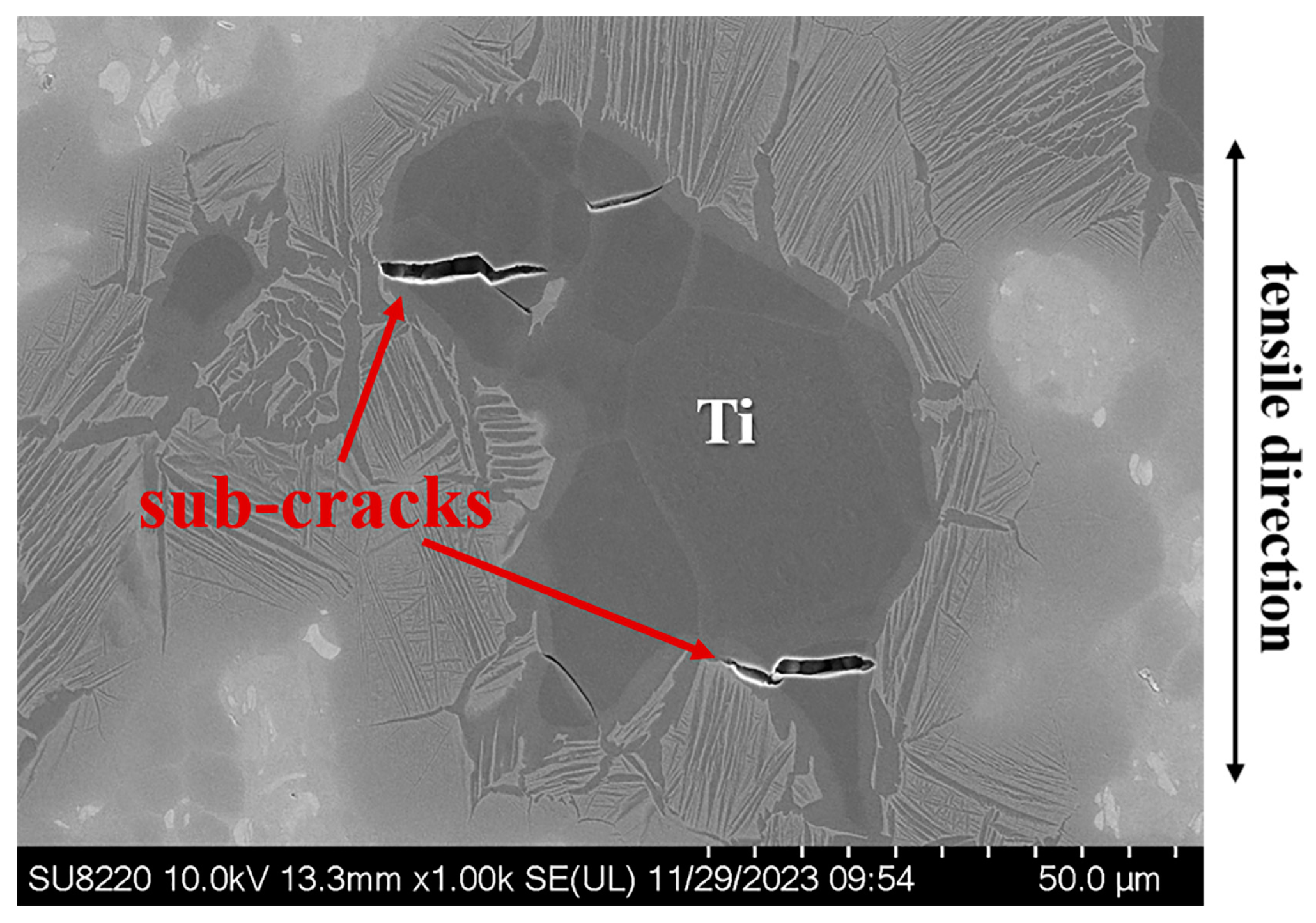 Coatings 14 00565 g014
