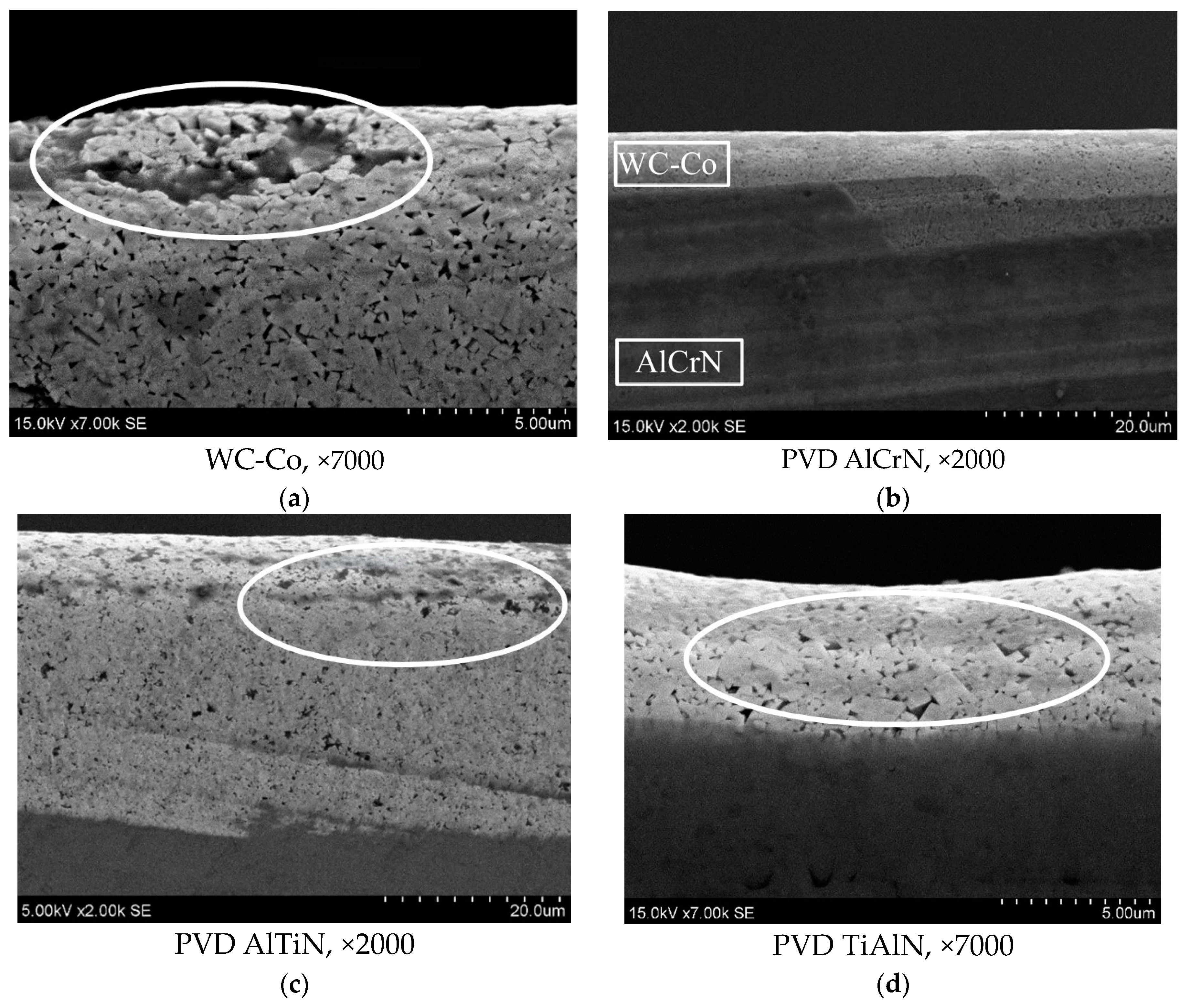 Coatings 14 00569 g006a