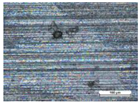 Coatings 14 00569 i002