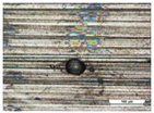Coatings 14 00569 i003