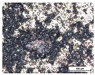Coatings 14 00569 i004