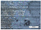 Coatings 14 00569 i006