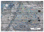 Coatings 14 00569 i007