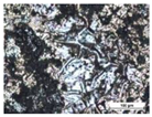 Coatings 14 00569 i008