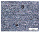 Coatings 14 00569 i010