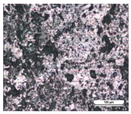 Coatings 14 00569 i012