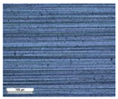 Coatings 14 00569 i013