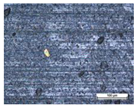 Coatings 14 00569 i014