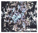 Coatings 14 00569 i016