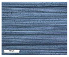 Coatings 14 00569 i017