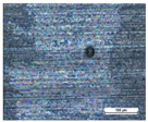 Coatings 14 00569 i018