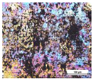 Coatings 14 00569 i020