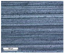 Coatings 14 00569 i021