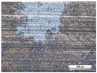 Coatings 14 00569 i022