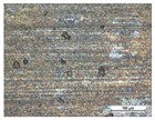 Coatings 14 00569 i023