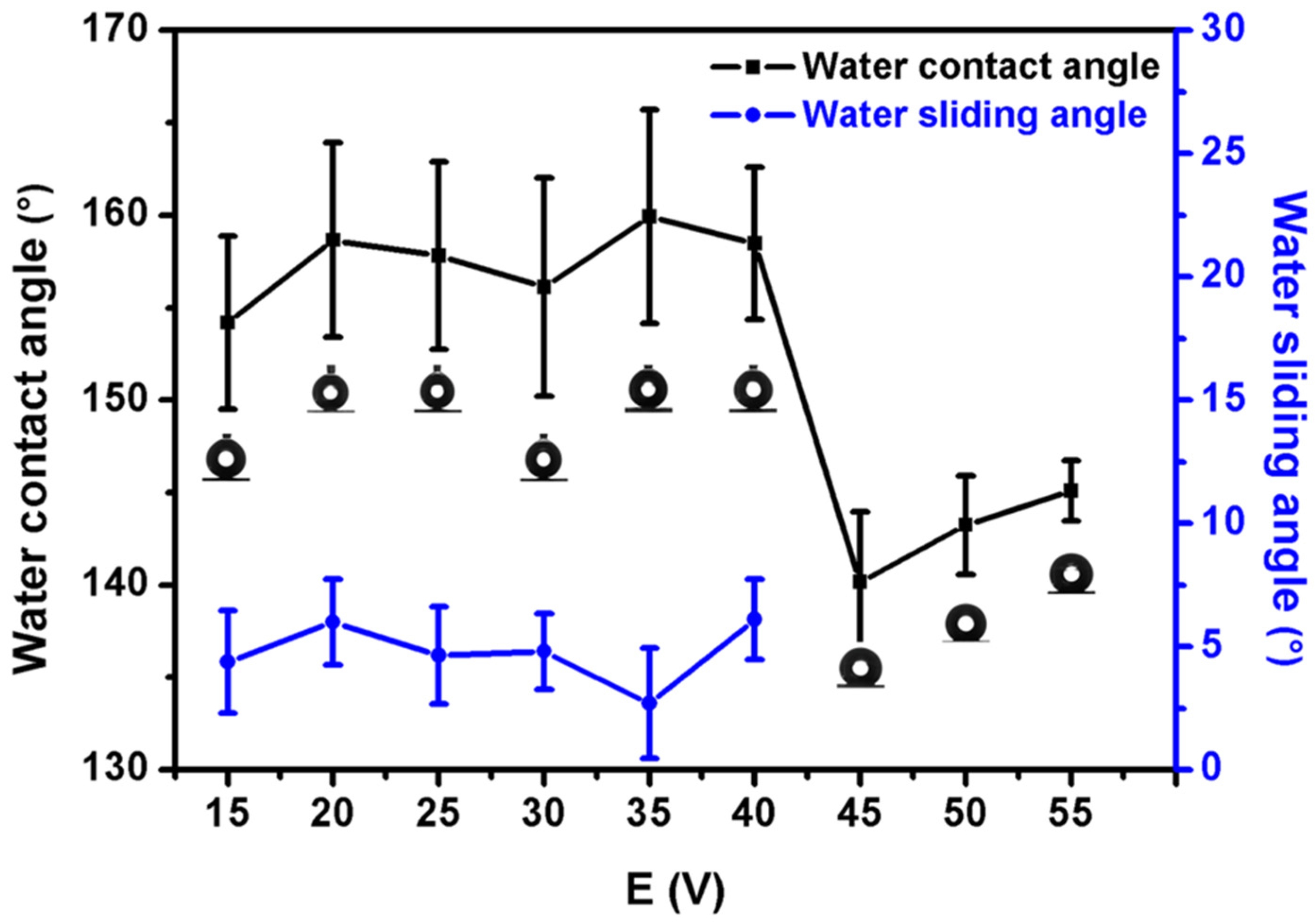 Coatings 14 00571 g002