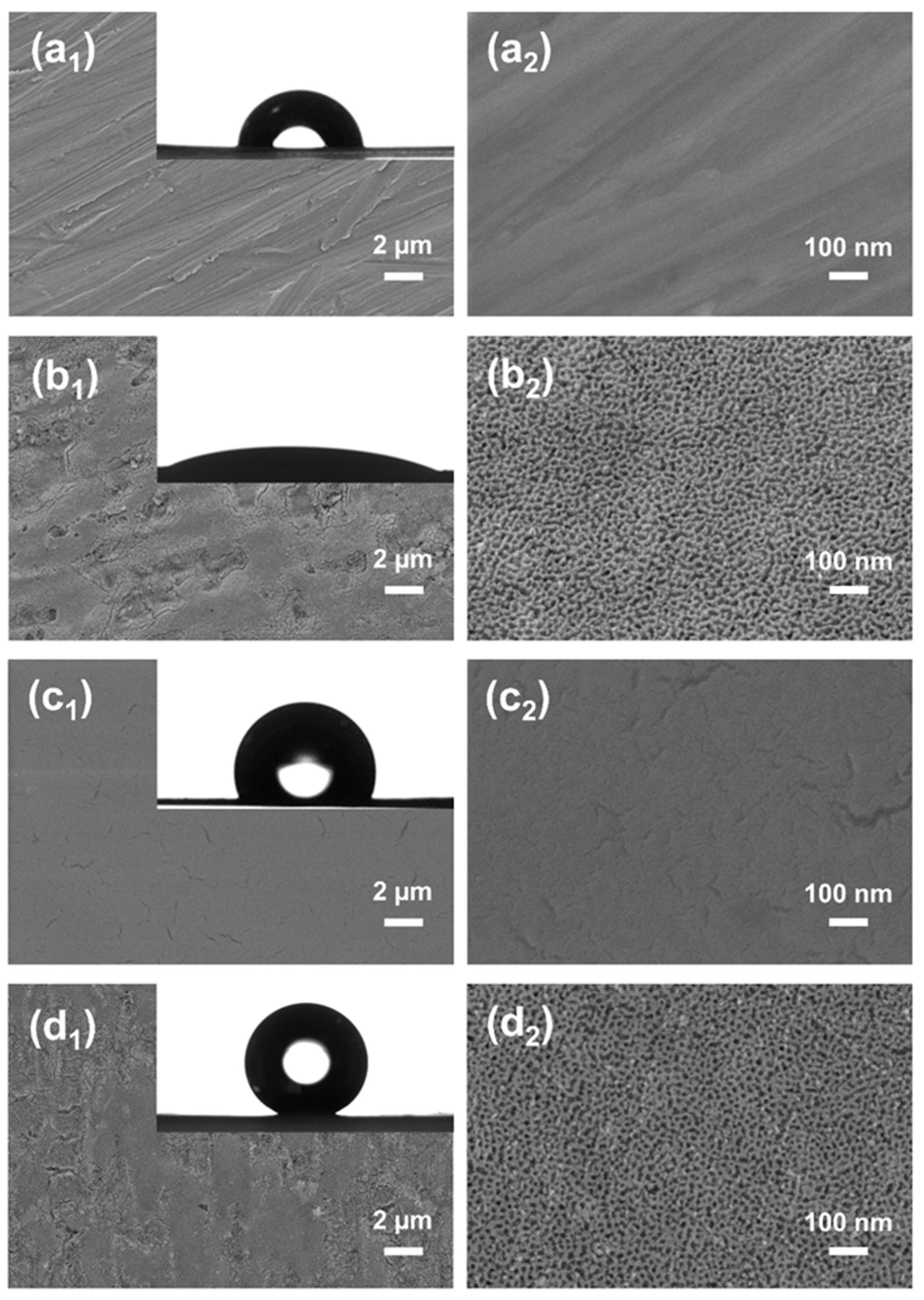 Coatings 14 00571 g004