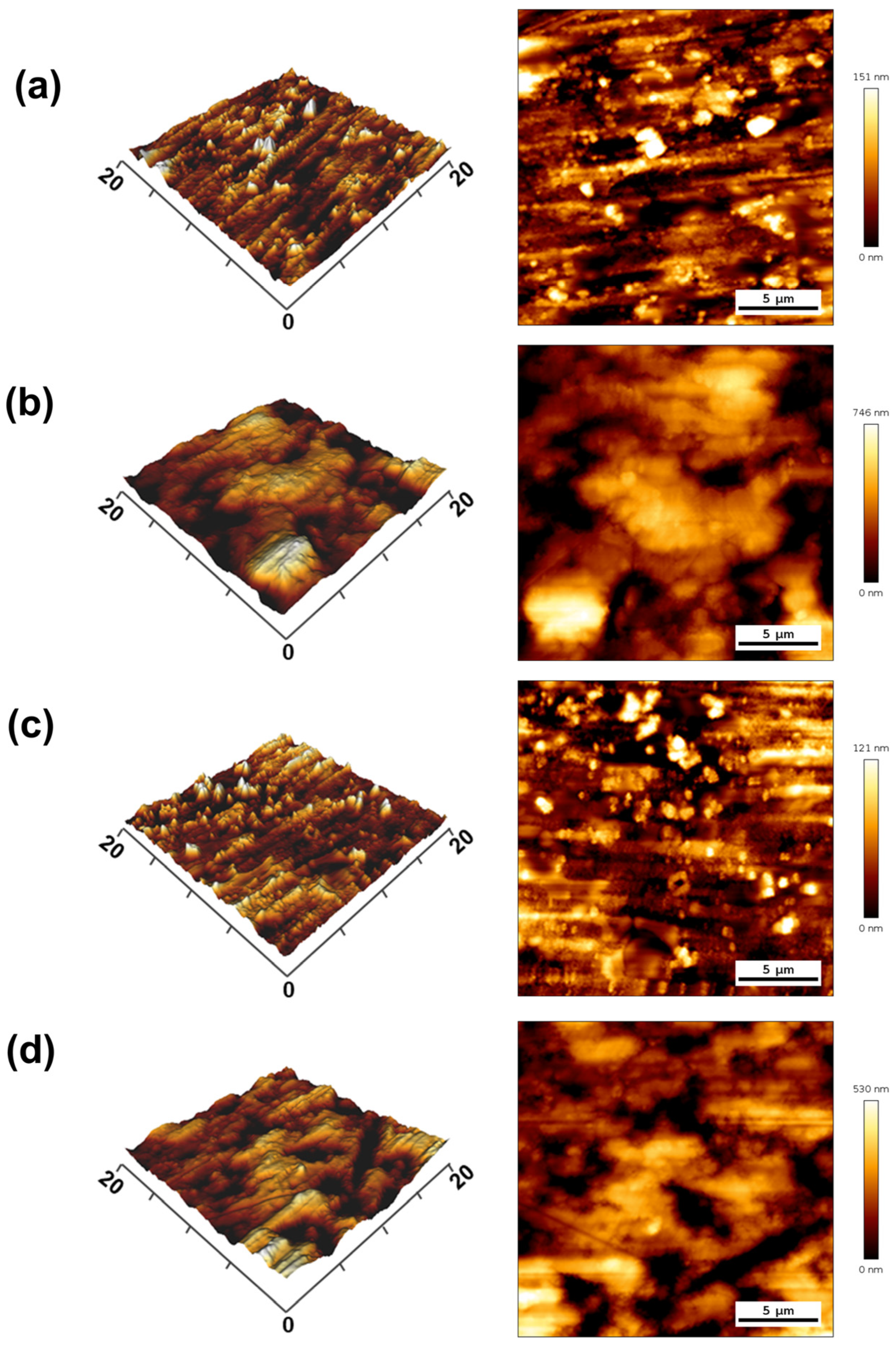 Coatings 14 00571 g005