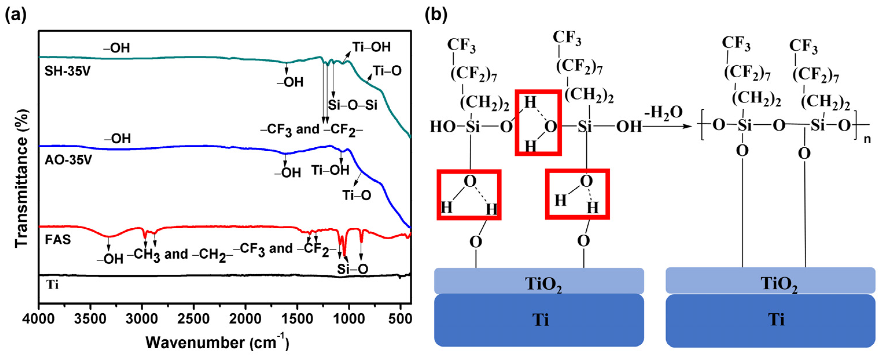 Coatings 14 00571 g006