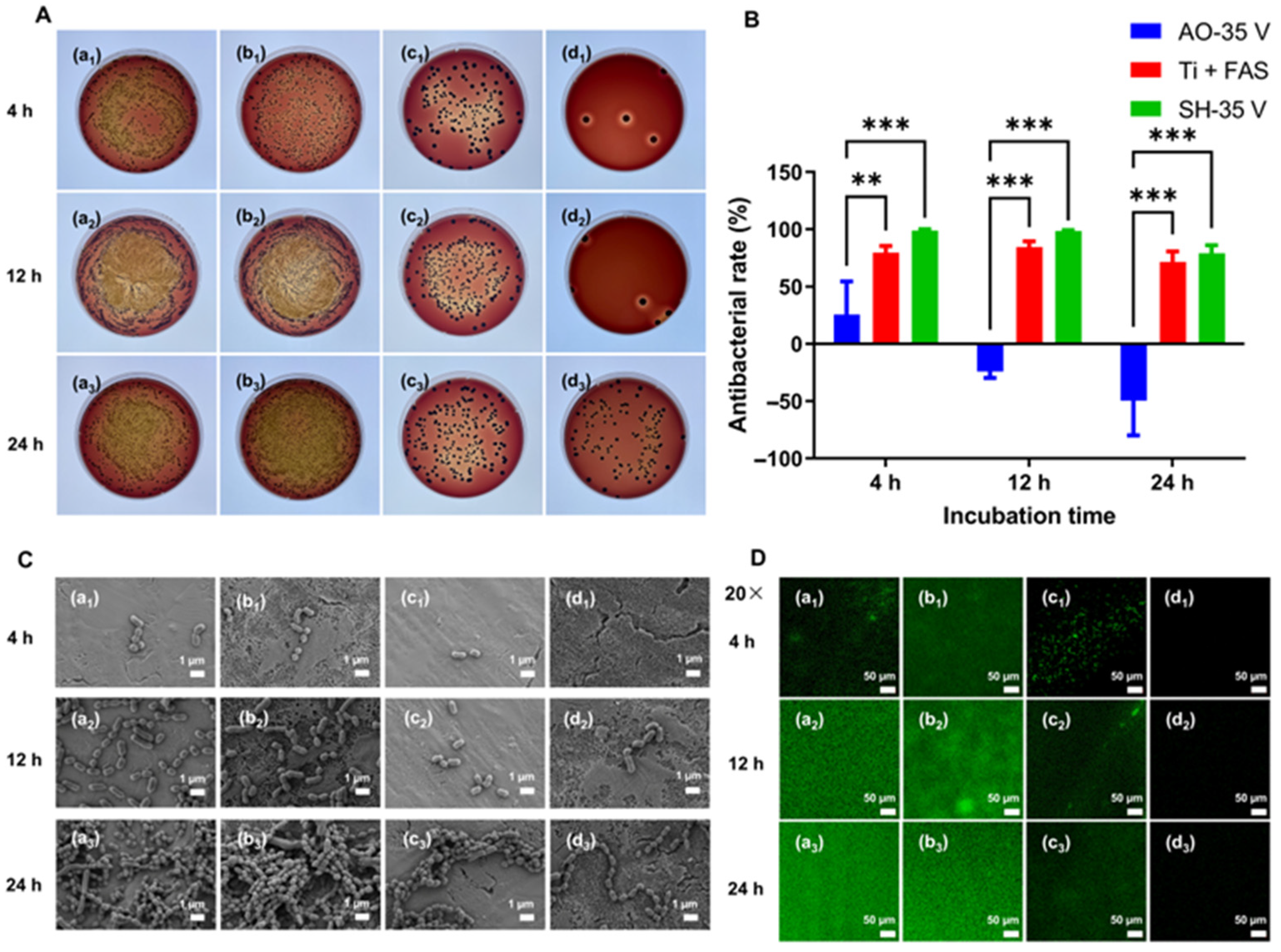 Coatings 14 00571 g010