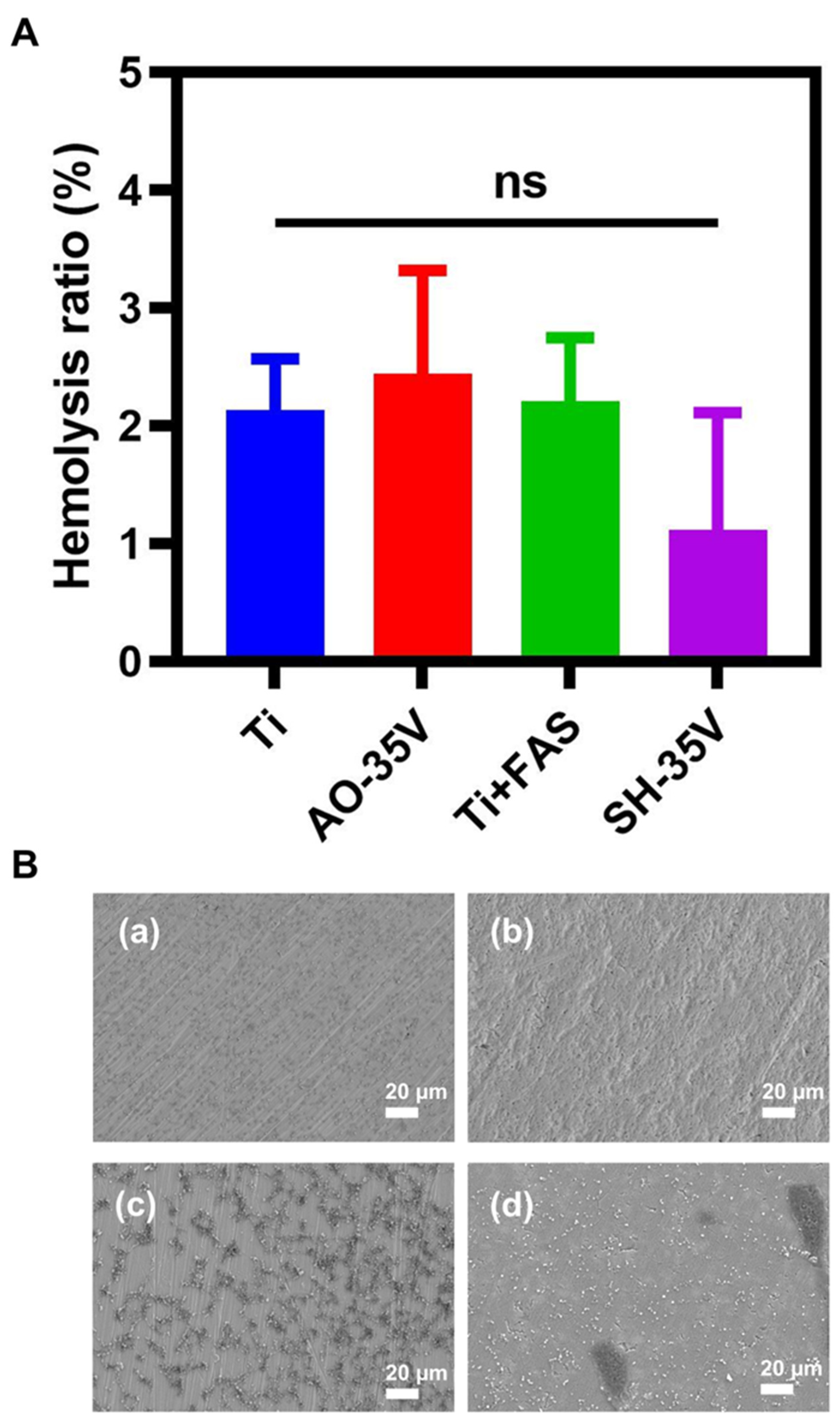 Coatings 14 00571 g011