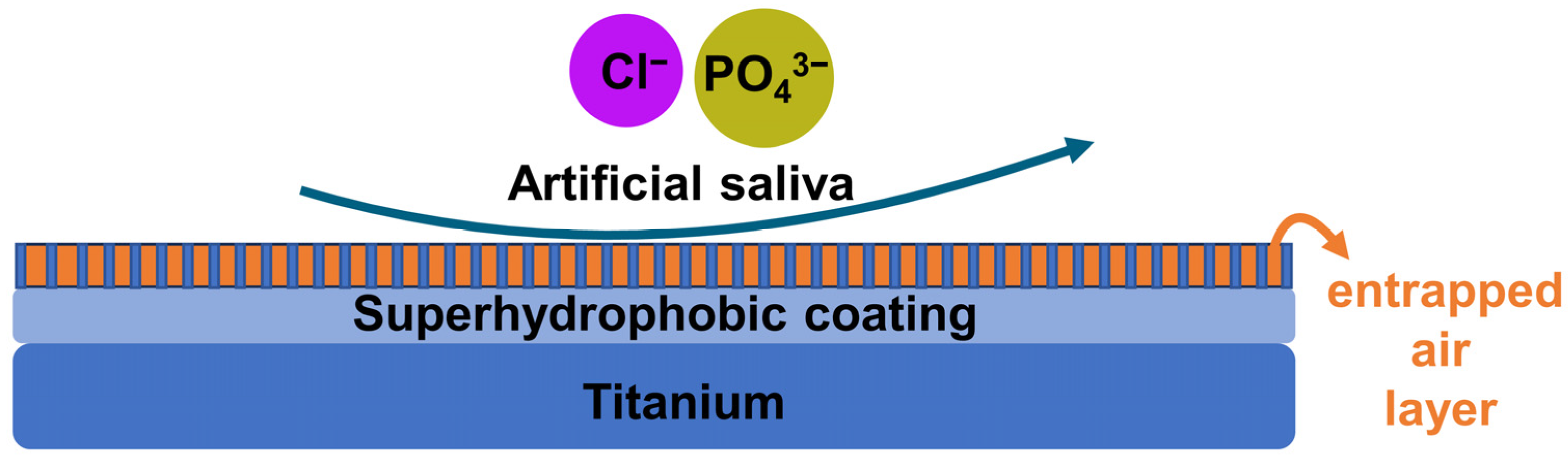 Coatings 14 00571 g013