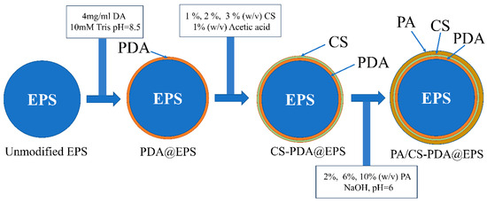 Coatings 14 00574 g001