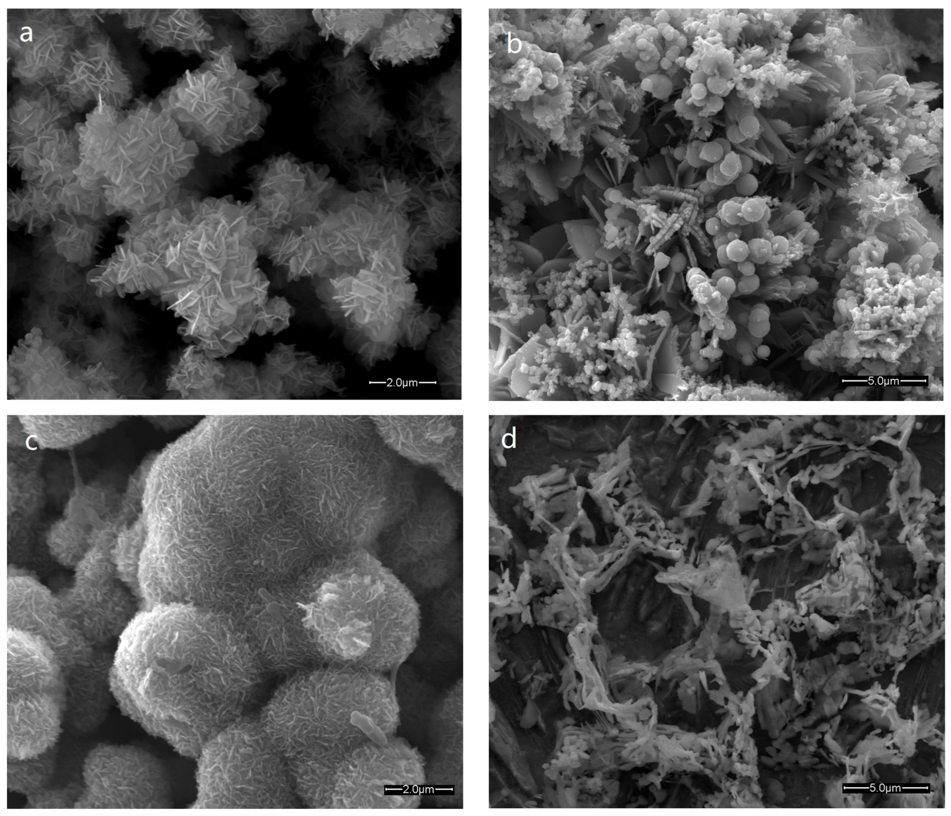 Coatings 14 00580 g008