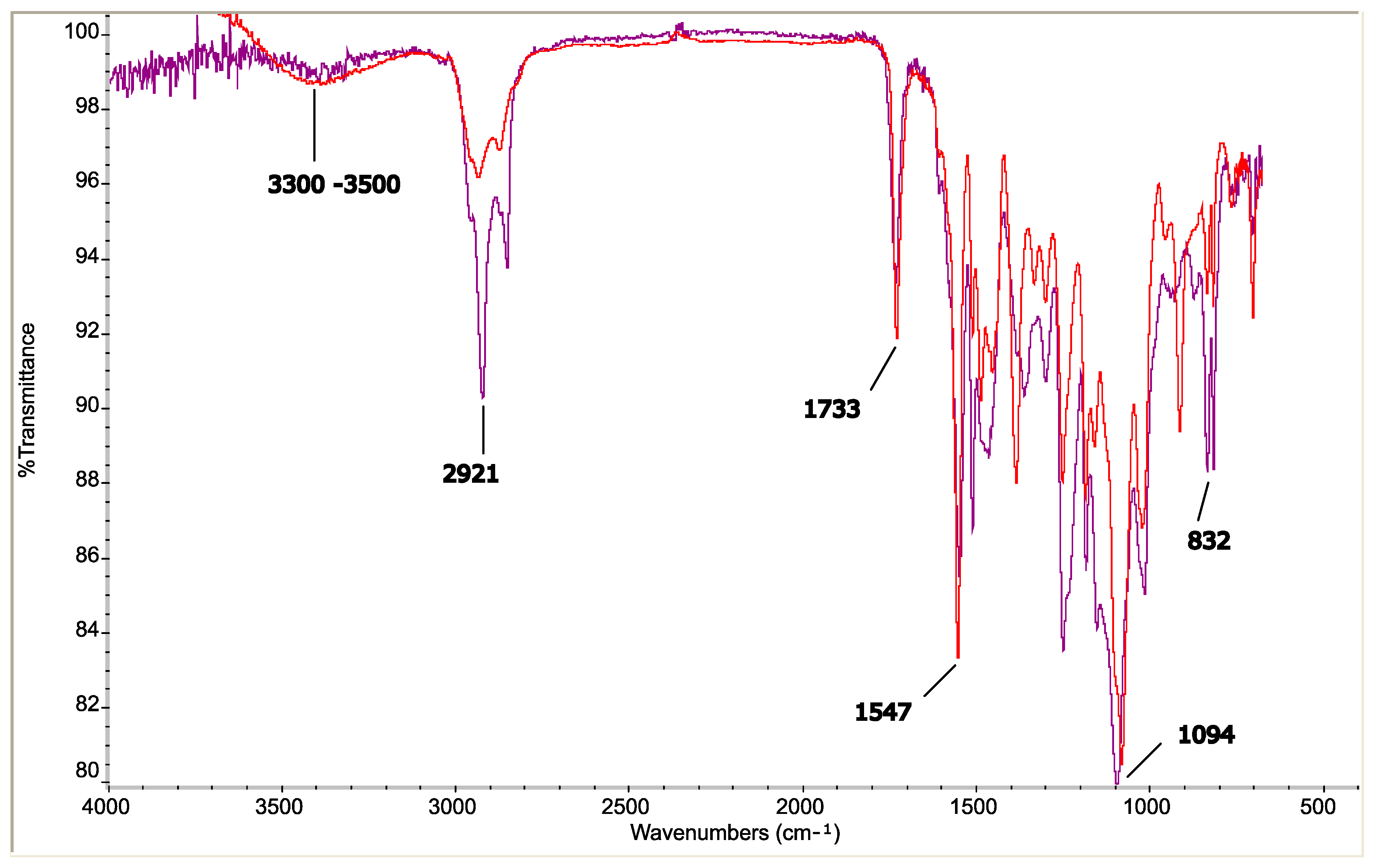 Coatings 14 00585 g003