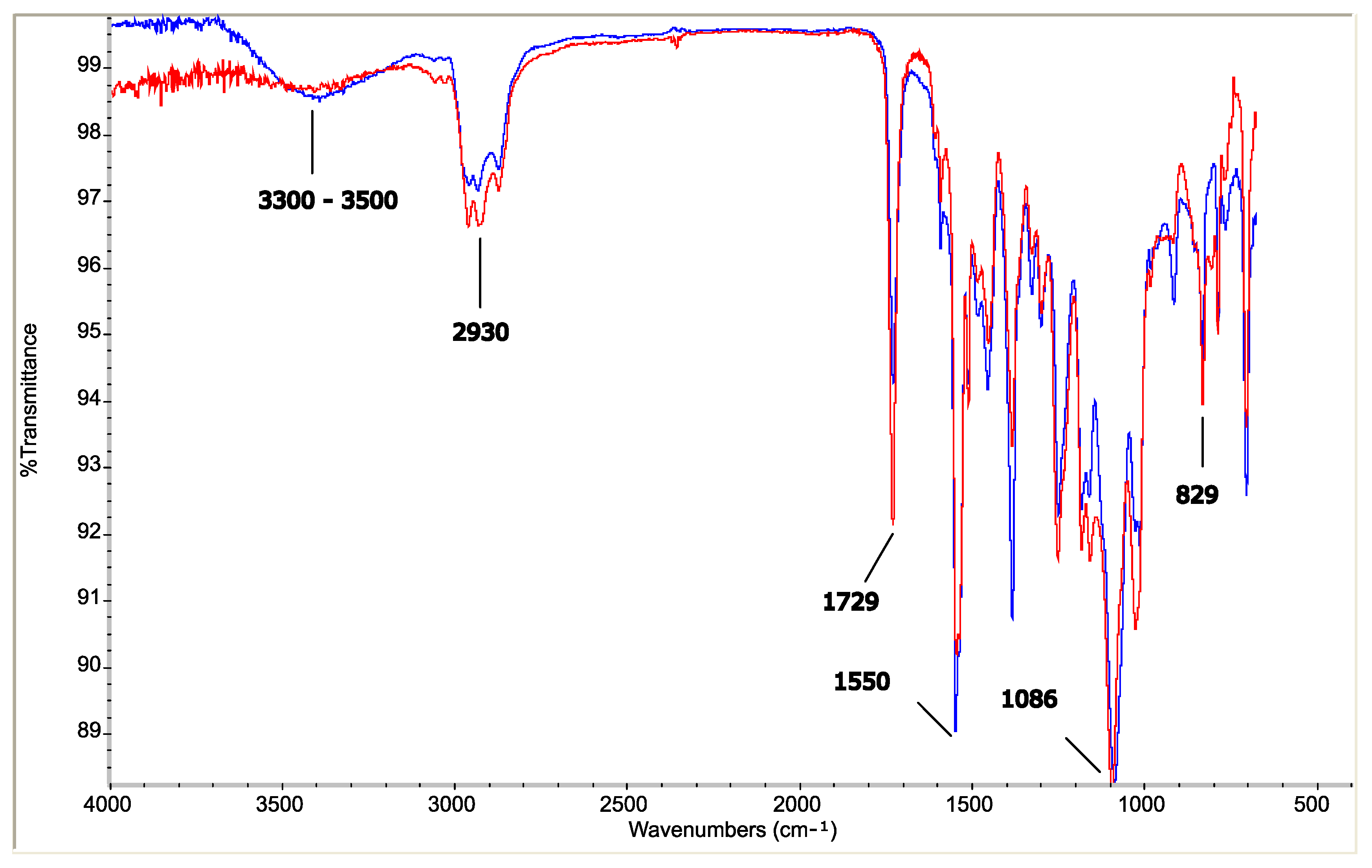 Coatings 14 00585 g005