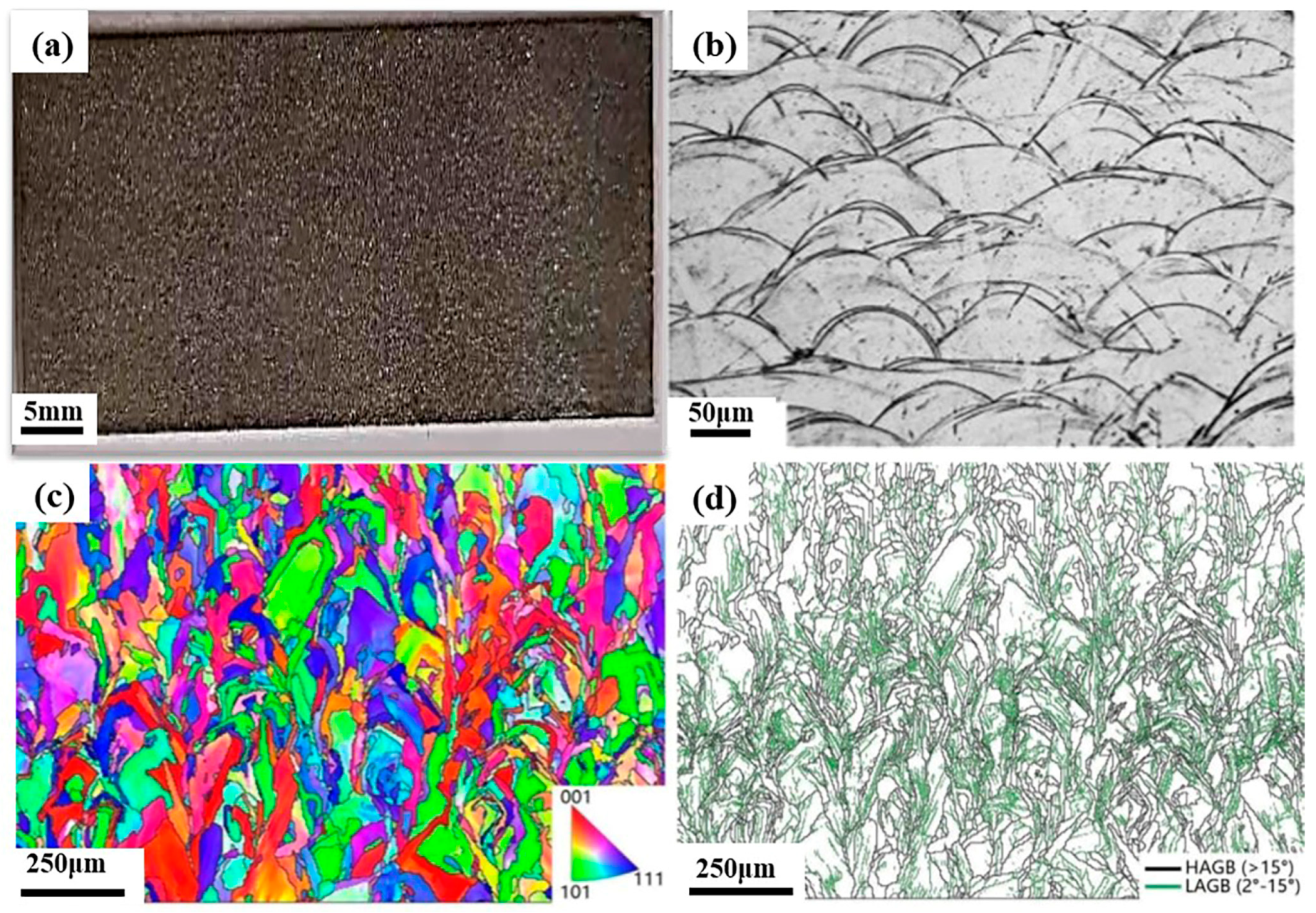 Coatings 14 00589 g003