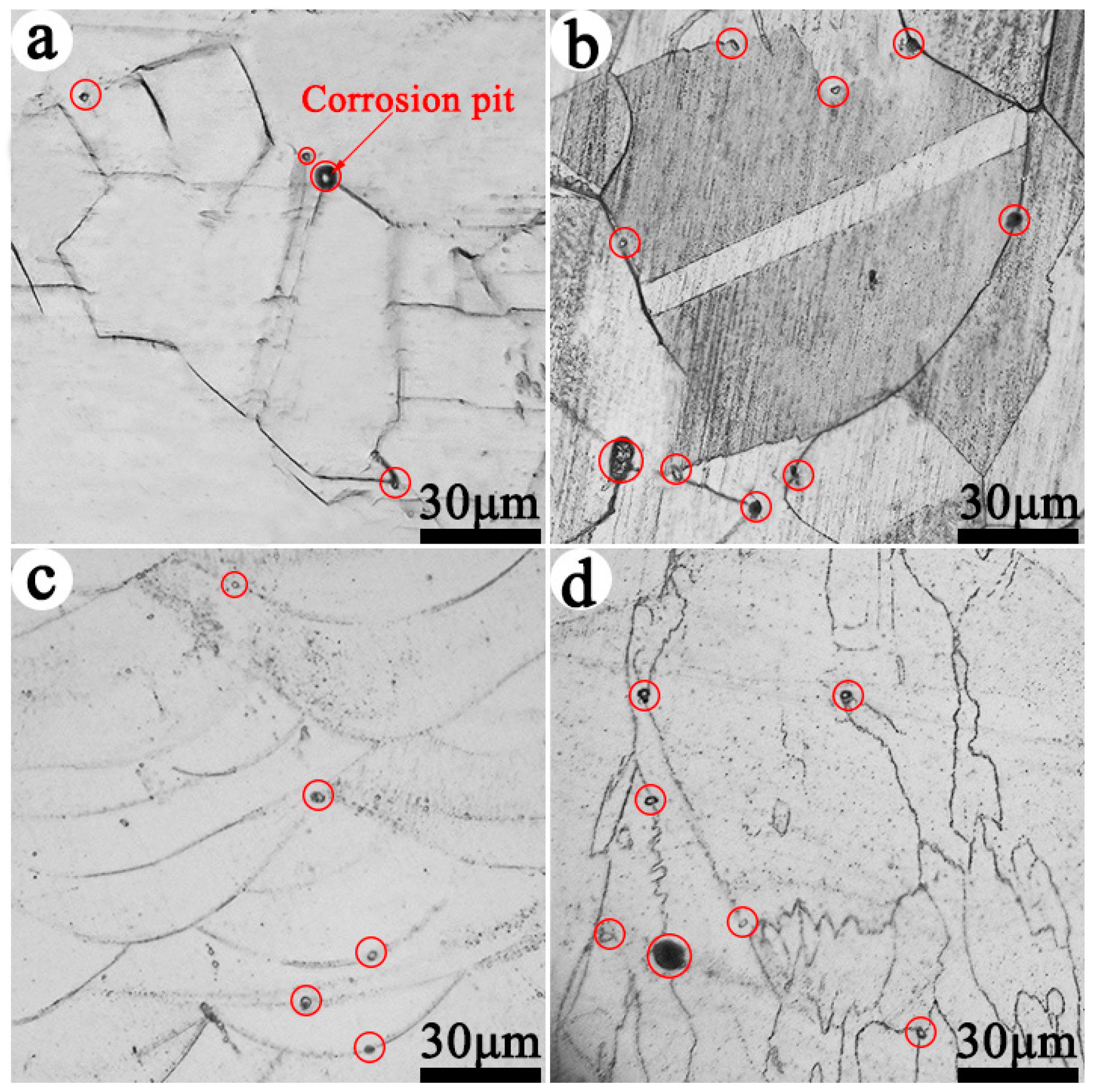 Coatings 14 00589 g011