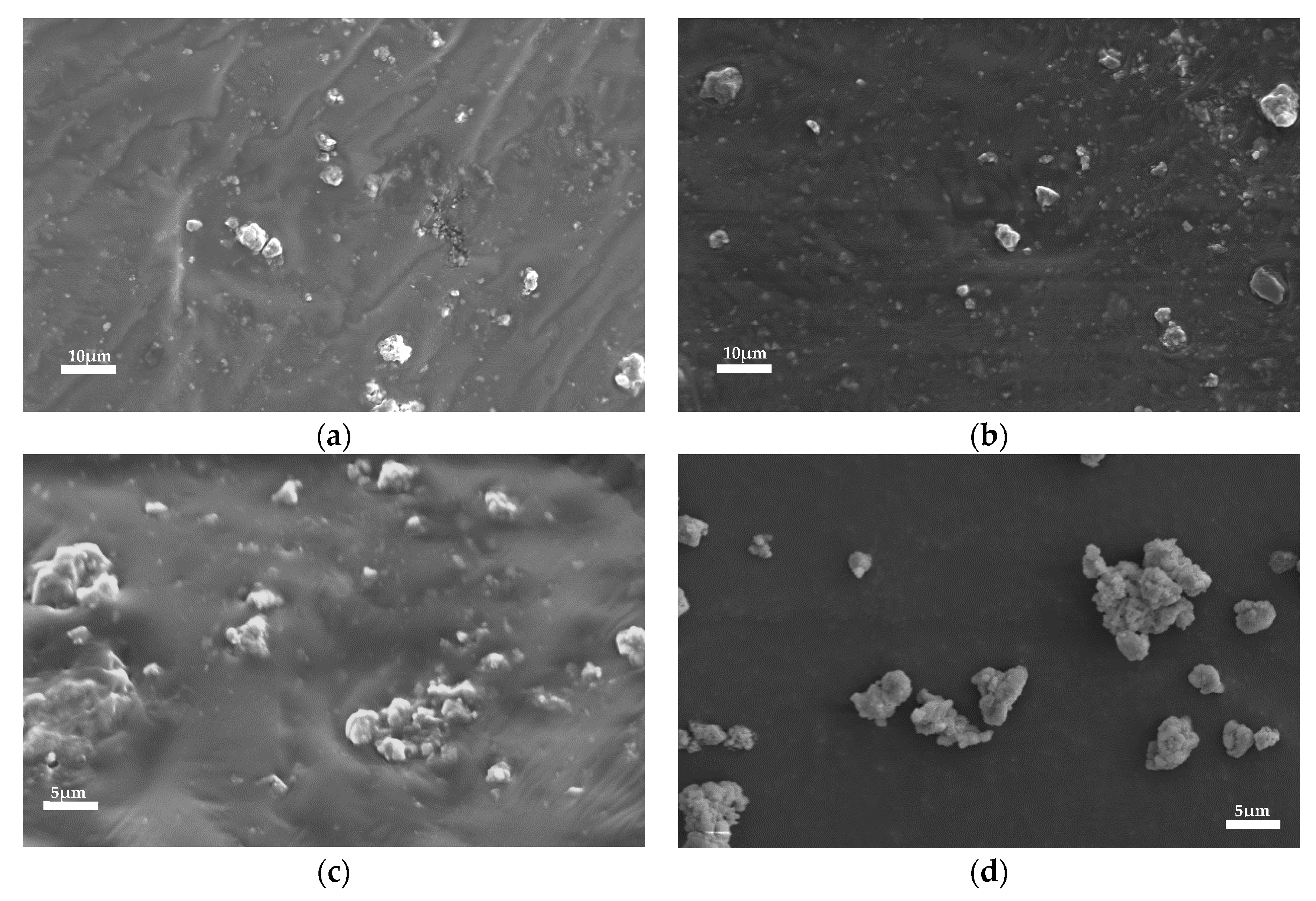 Coatings 14 00591 g015 Coatings 14 00591 g015