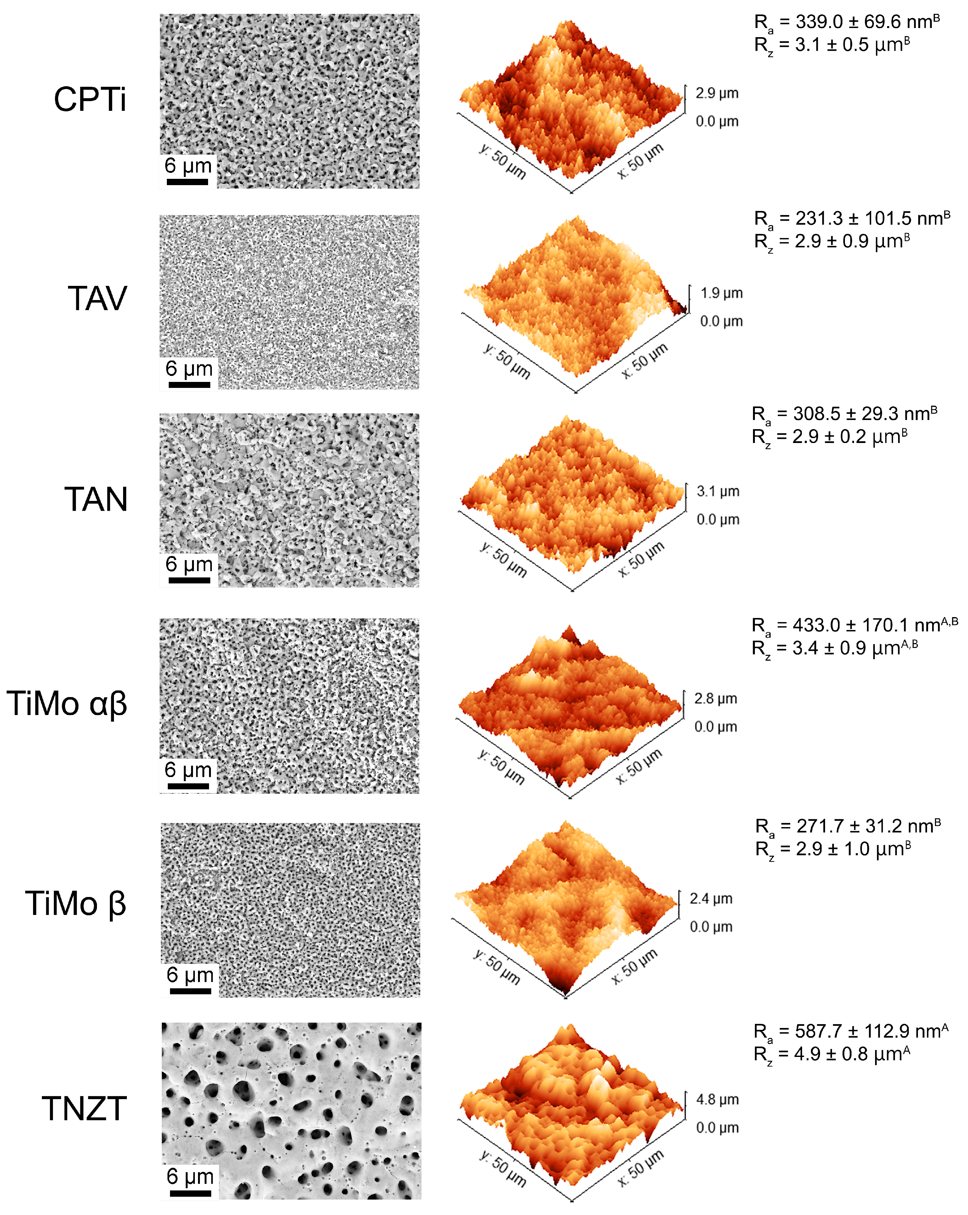Coatings 14 00595 g002