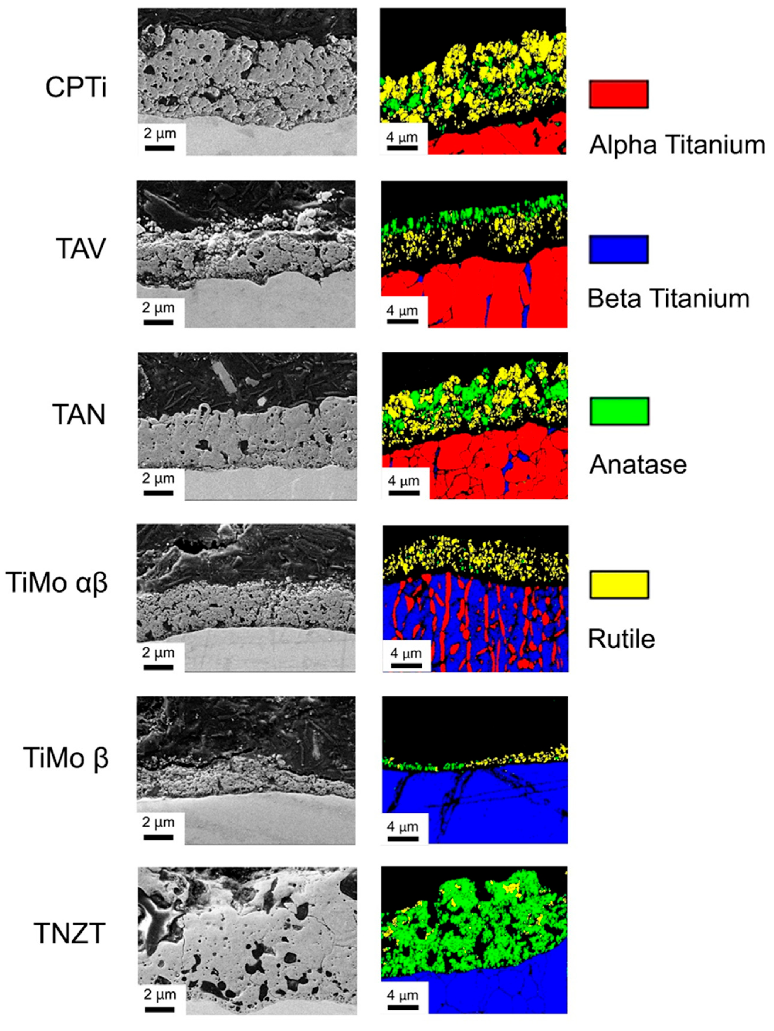 Coatings 14 00595 g004