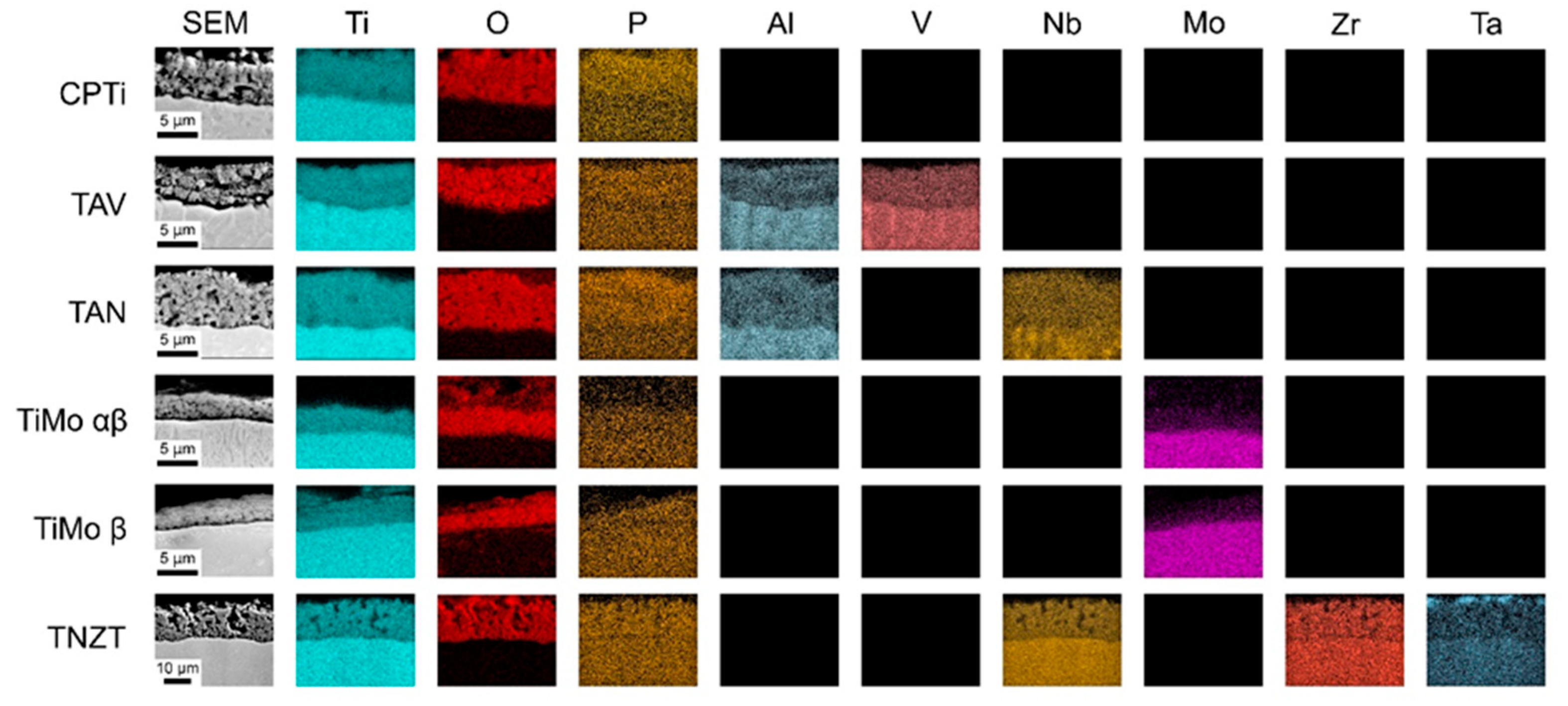 Coatings 14 00595 g005