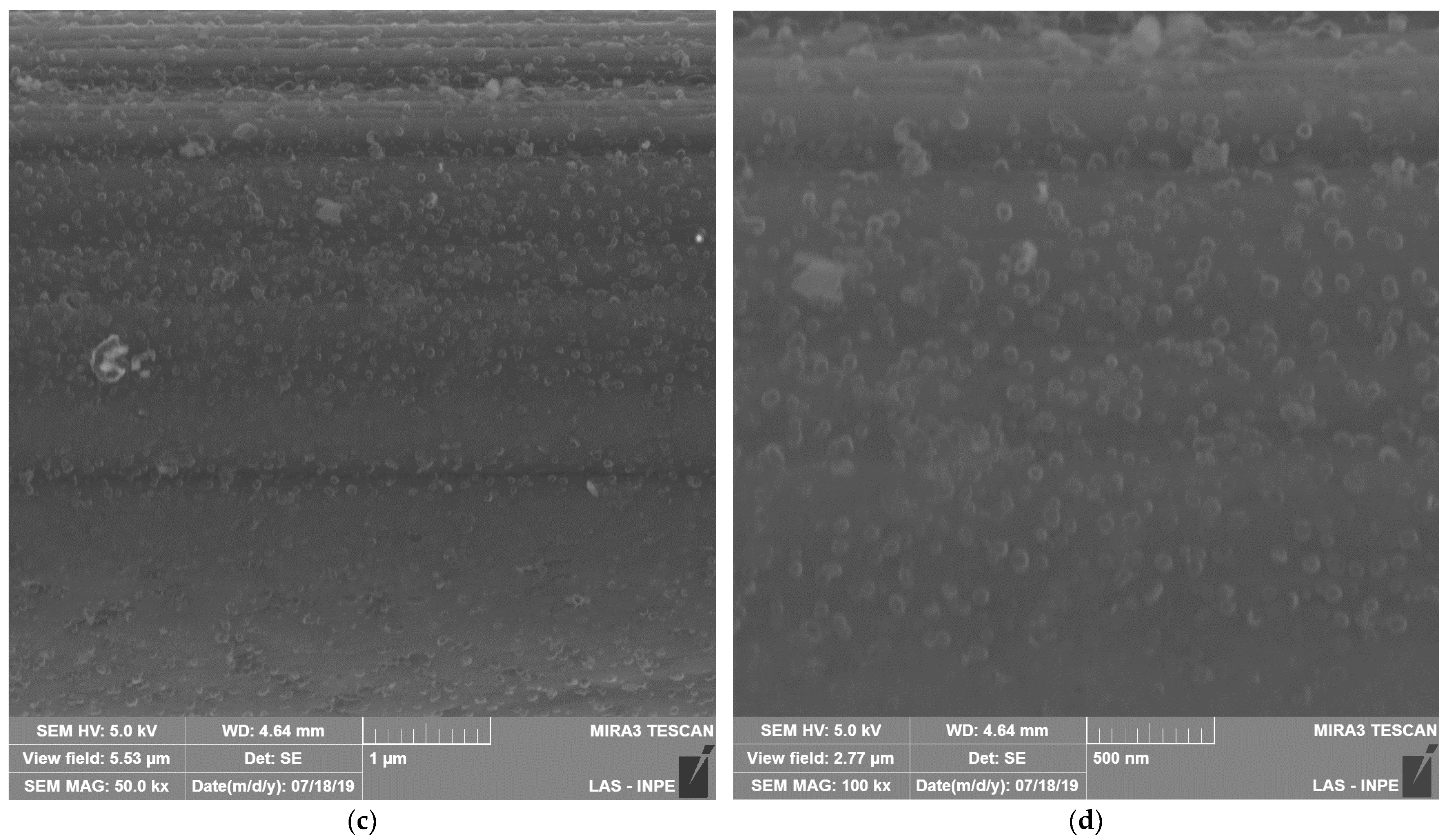 Coatings 14 00596 g002b Coatings 14 00596 g002b
