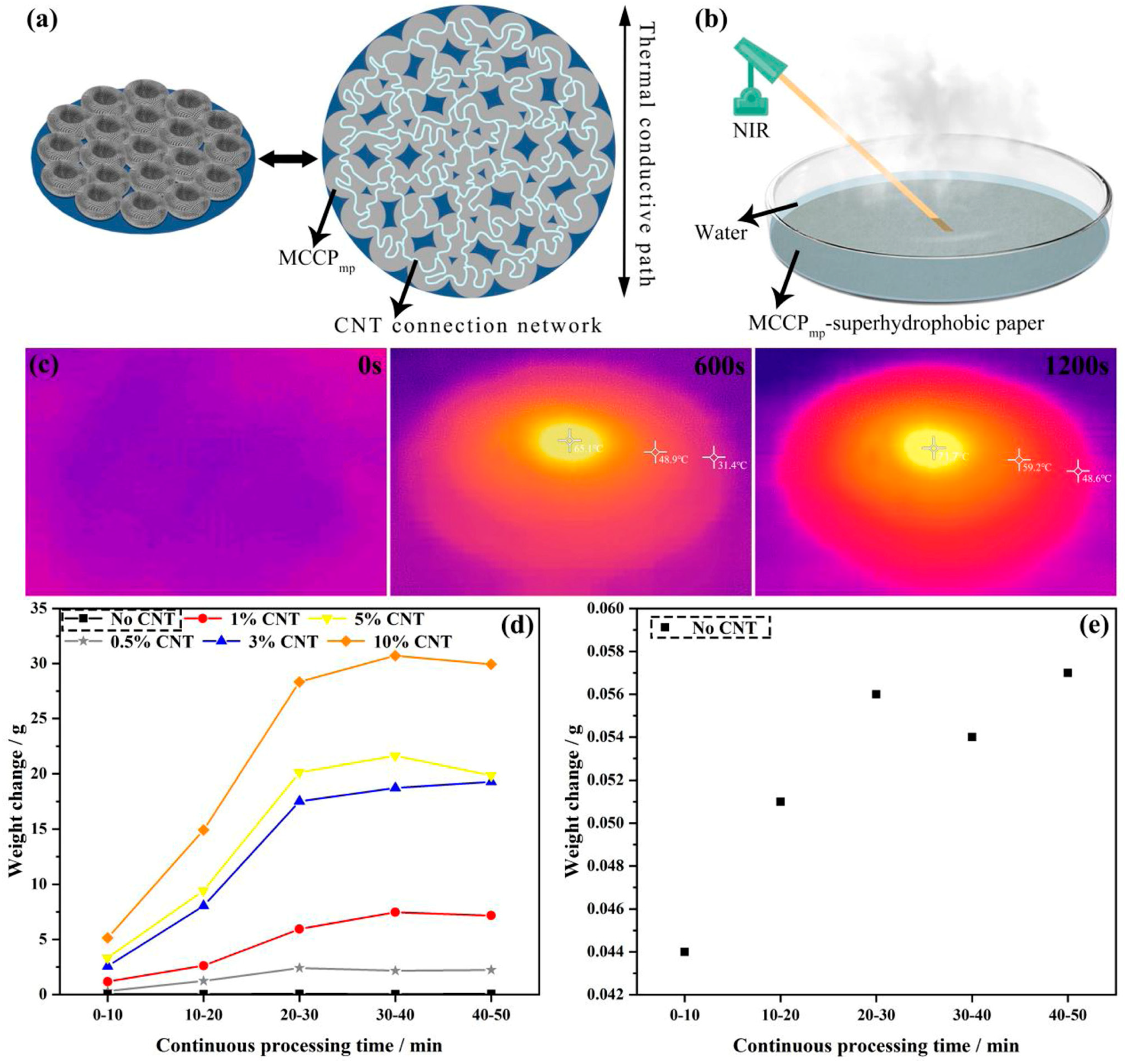 Coatings 14 00597 g003
