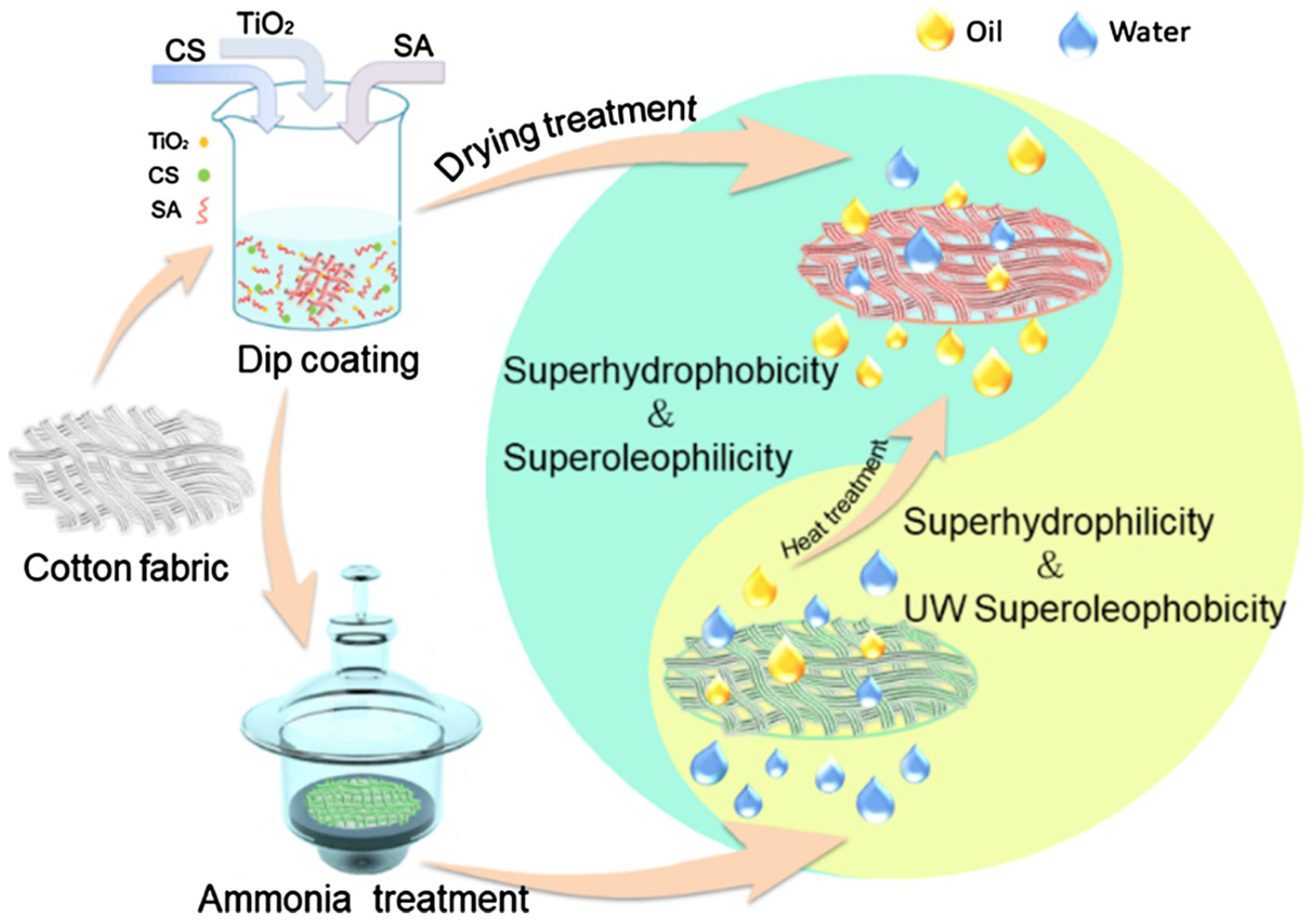 Coatings 14 00597 g004