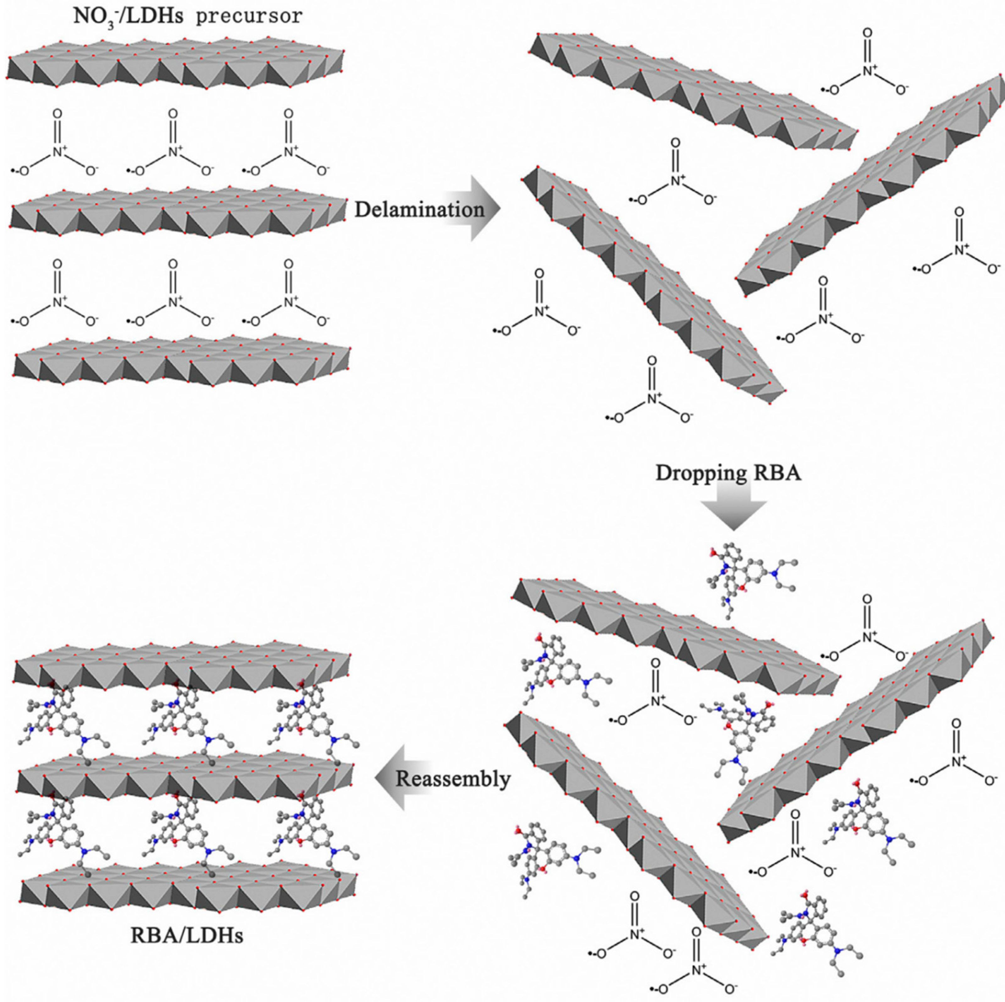 Coatings 14 00597 g006