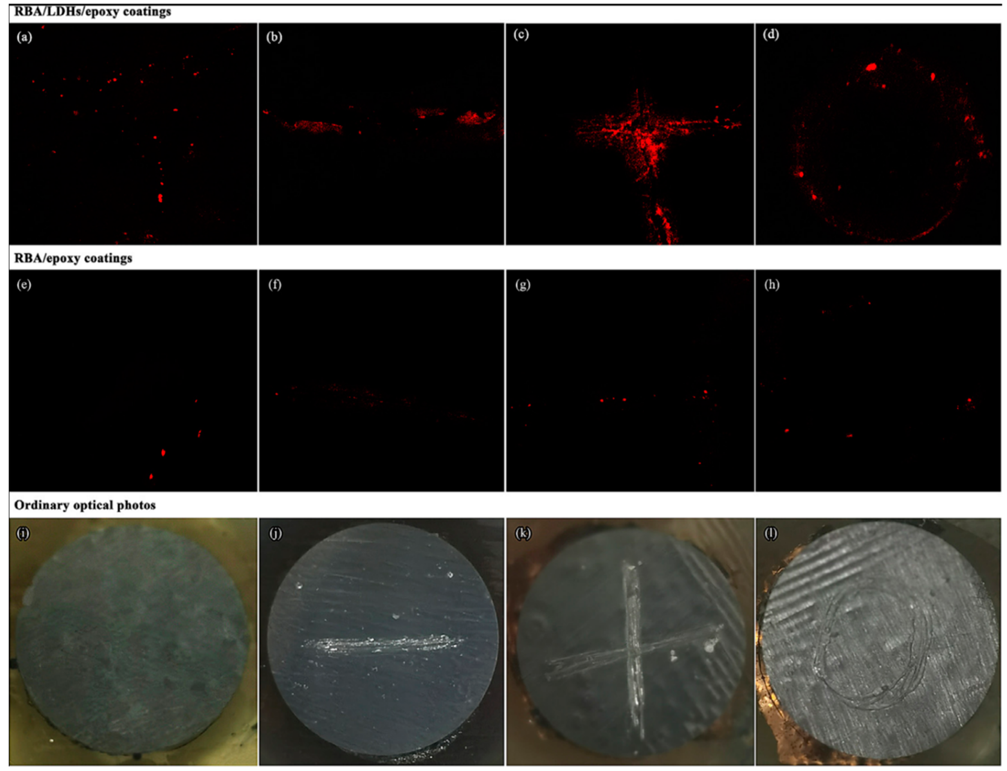 Coatings 14 00597 g007