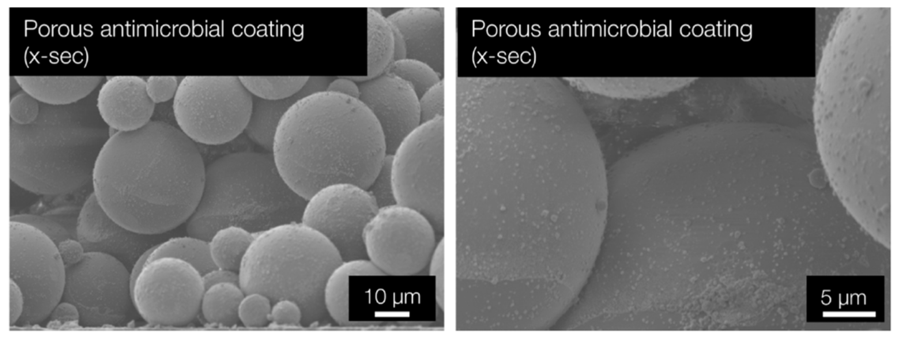 Coatings 14 00597 g011