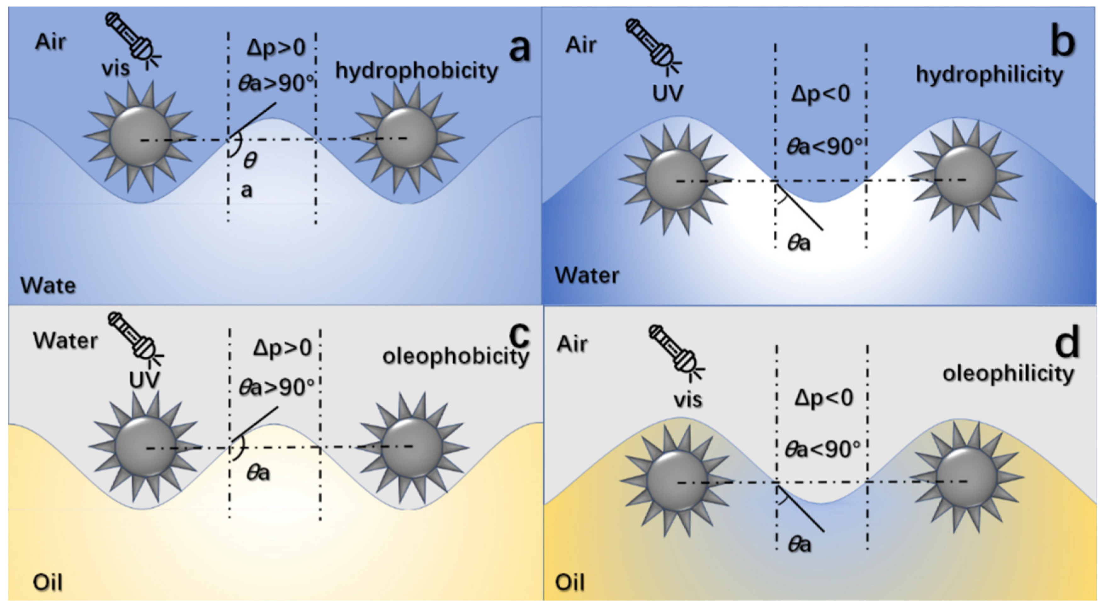 Coatings 14 00597 g014