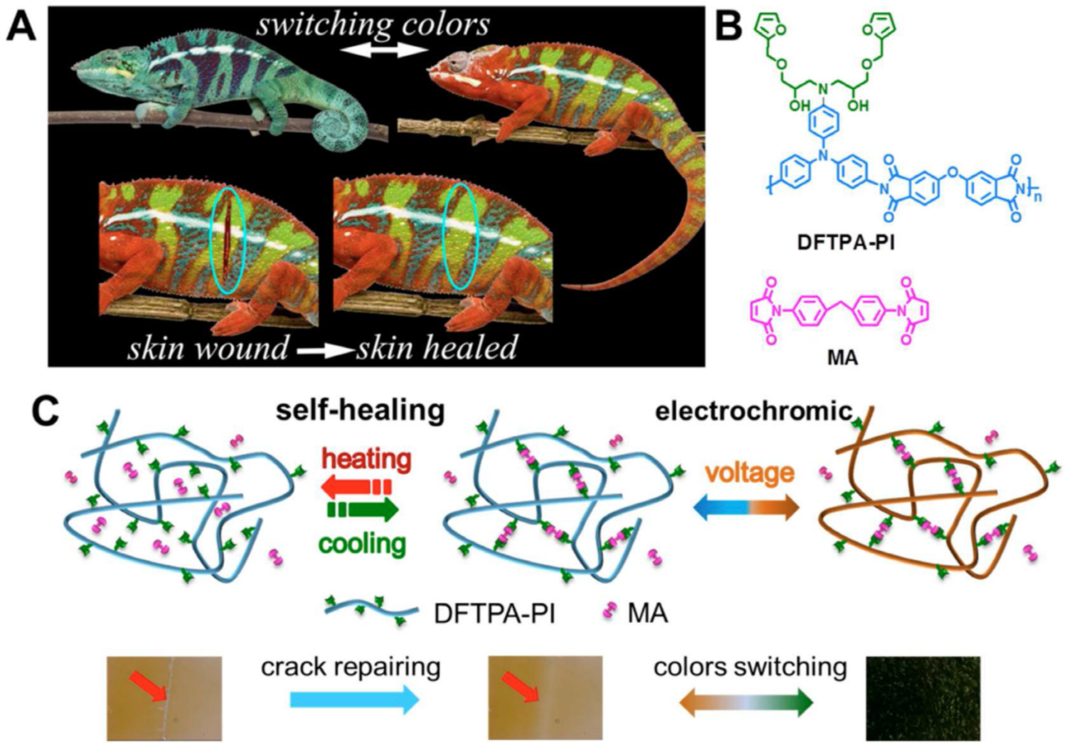 Coatings 14 00597 g015
